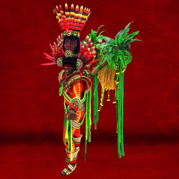 Salgueiro - Yanomami - Imagem 3