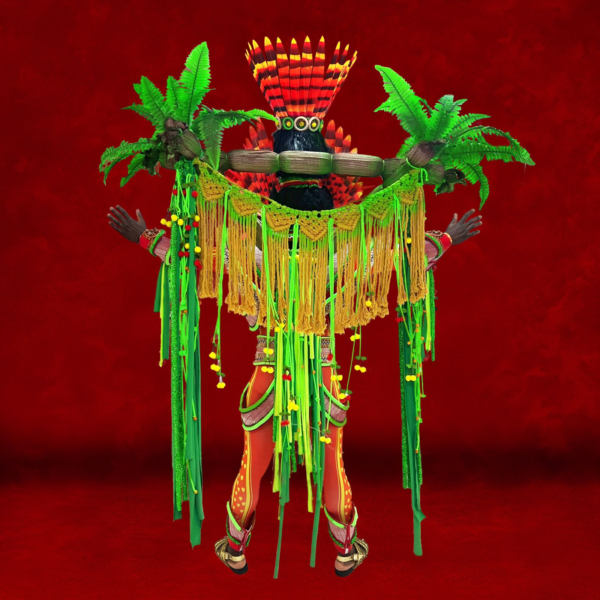 Salgueiro - Yanomami - Imagem 4